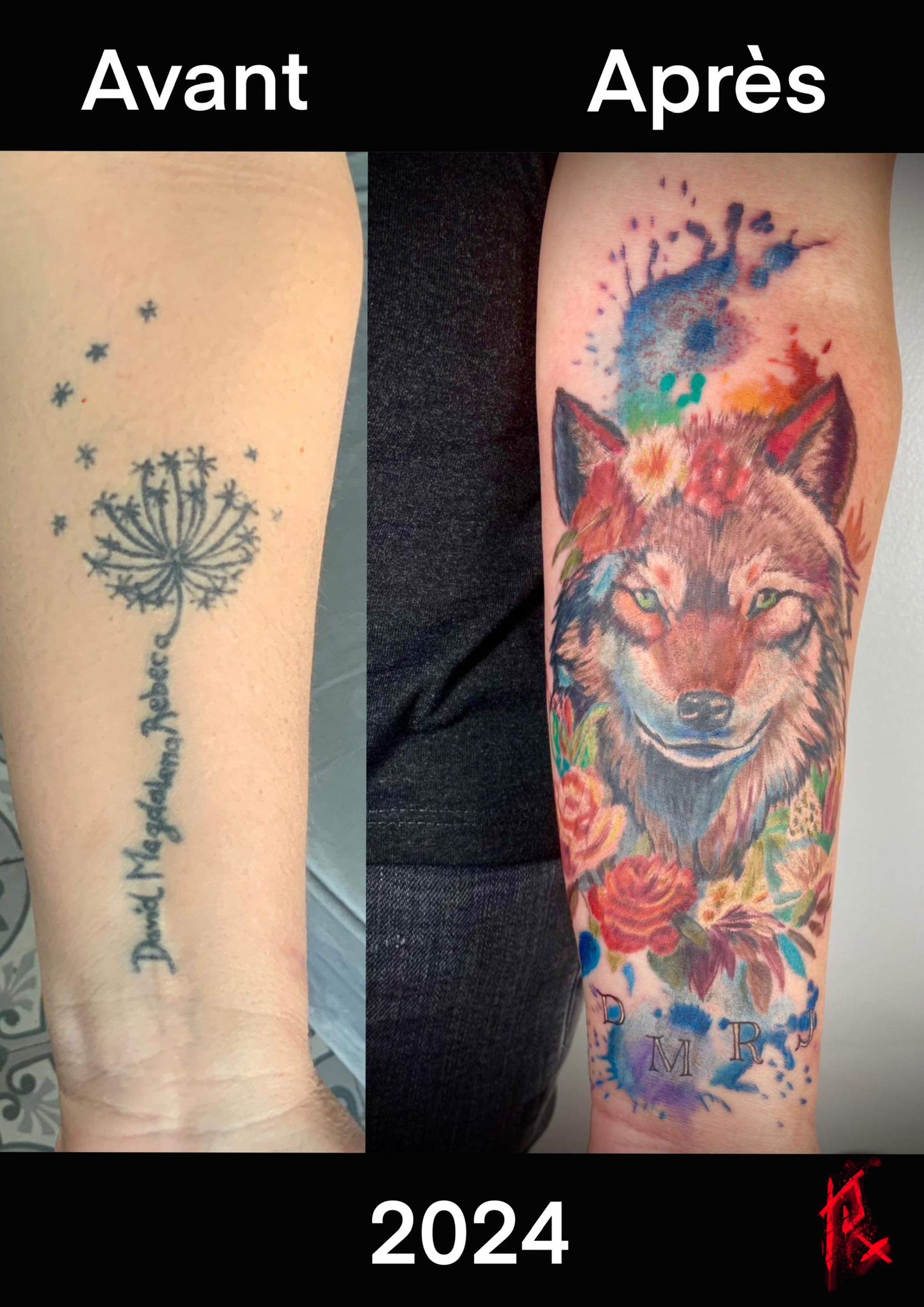 cover-pissenlit-tete-loup-couleur